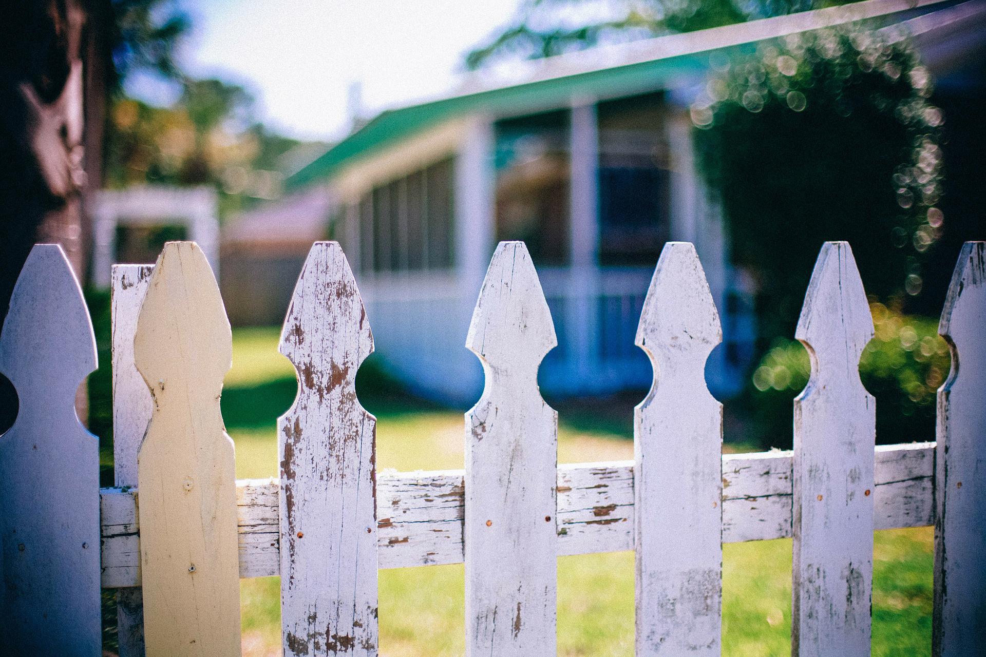a picket fence between two gardens